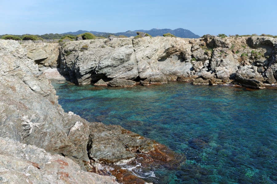 Découverte de l'île du Gaou : Un paradis méconnu