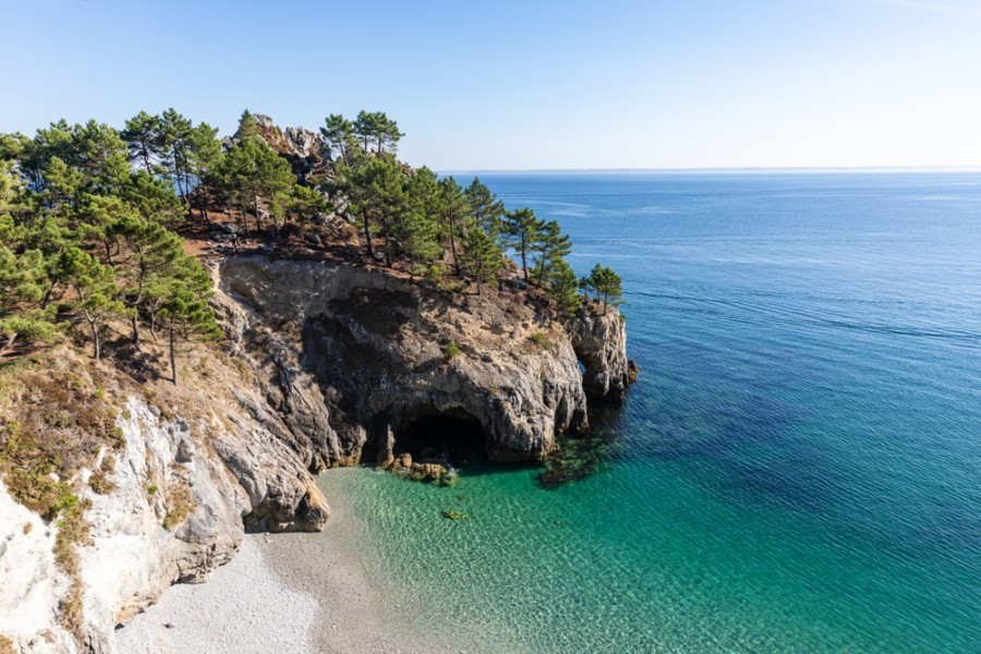 Découvrez l'Île Vierge : un joyau naturel à Crozon