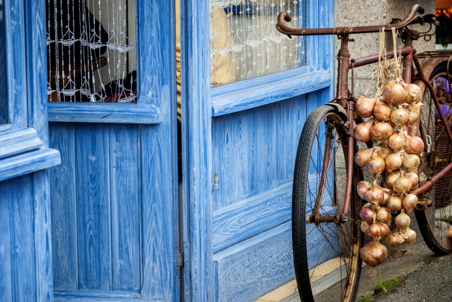 Pourquoi l'oignon de Roscoff est-il si exceptionnel ?