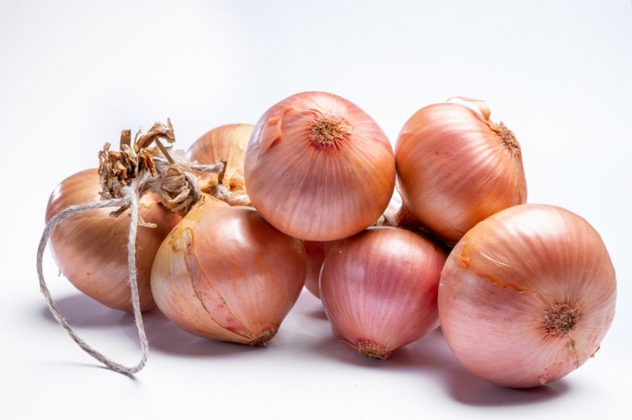 Quelle est la particularité des oignons de Roscoff ?