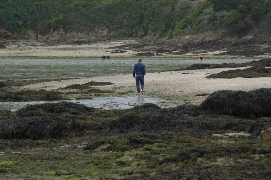 Quelles sont les activités à faire à Saint-Jacut-de-la-Mer ?