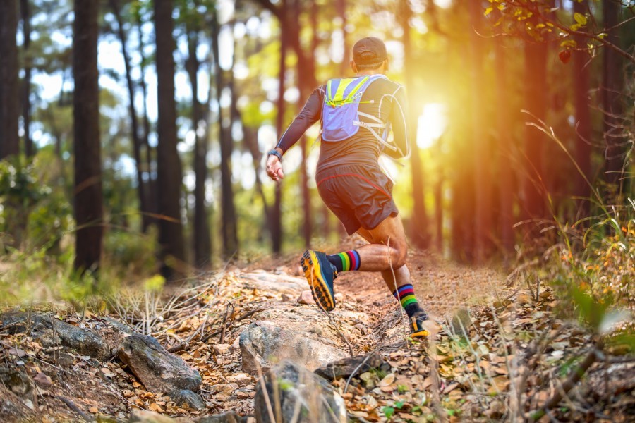 Quelles sont les catégories du trail de Guerlédan