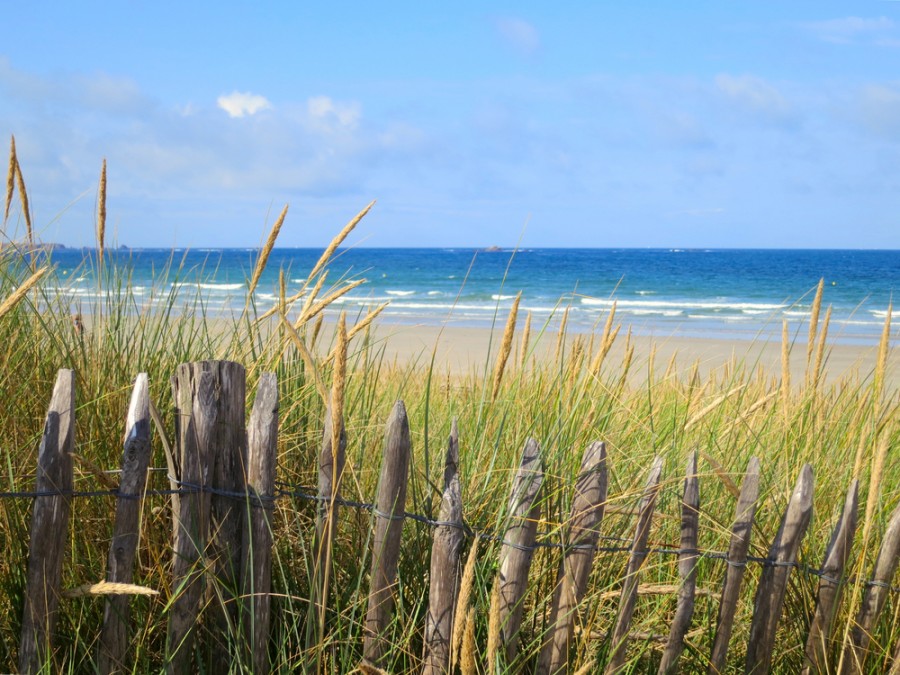 Quels sont les services proposés par le camping Le Guerno dans le Morbihan ?